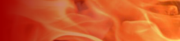 Primary Raster logo